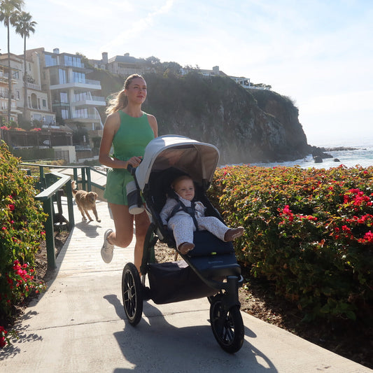 UPPAbaby Ridge V2 All-Terrain Stroller