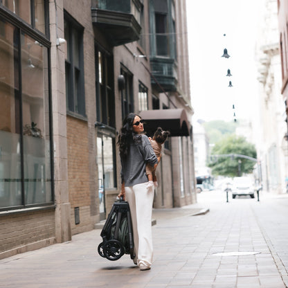 UPPAbaby Kona Stroller